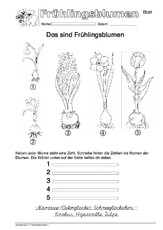 Arbeitsblatt SAS 1.pdf